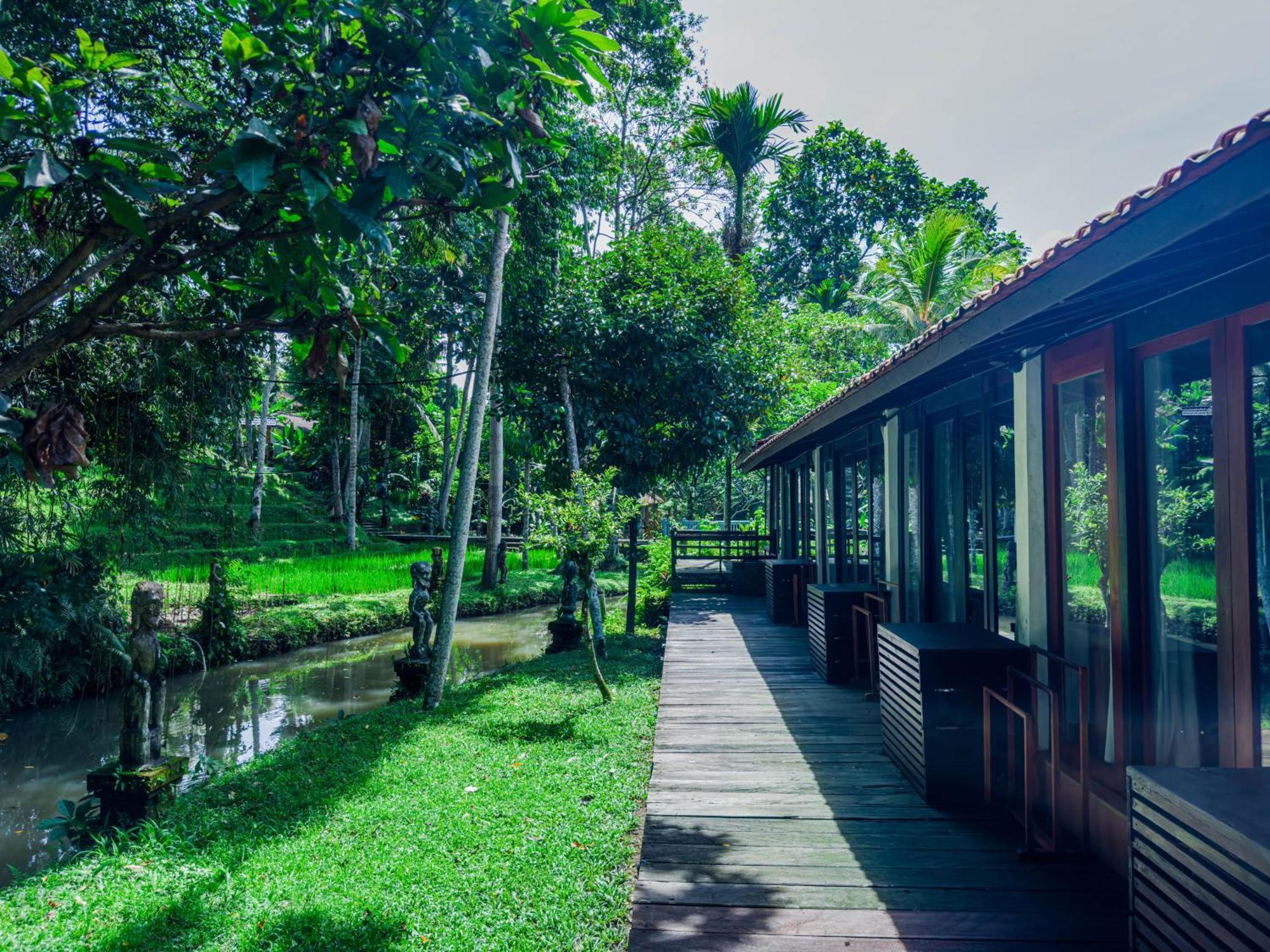 Resort Sari Health 3*